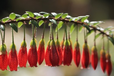 惠州惠城区8私人快速借钱网，轻松解决资金难题