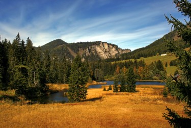 惠州惠城区8民间私贷攻略：揭秘低成本借贷的秘密