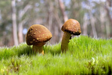 惠州惠城区8私人老板放款：轻松融资的秘密通道